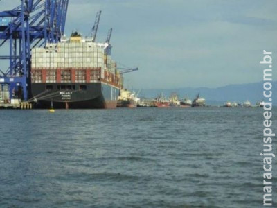 Sete frigoríficos de MS estão exportando para o Egito