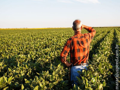 CMN reduz exigências para operações de crédito rural