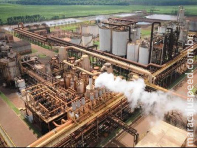 Um quarto das usinas de açúcar e álcool do país pode fechar 