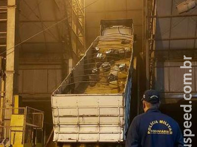 Carreta é flagrada com maconha escondida em carga de soja