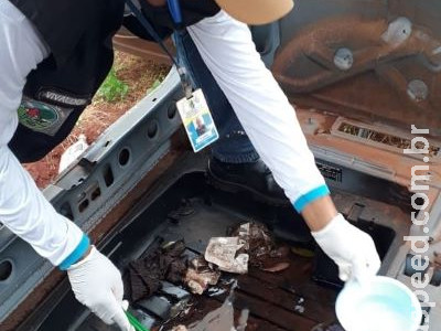 Dourados tem 1162 casos de dengue e 47 de chikungunya