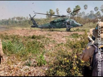 Operação integrada combate incêndio no Pantanal