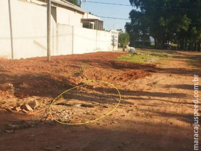 Dona de casa flagra sucuri ‘atravessando’ a rua em Aquidauana