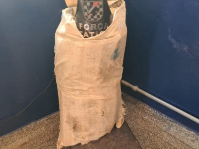 Força Tática localiza e apreende fardo com 44 kg de maconha