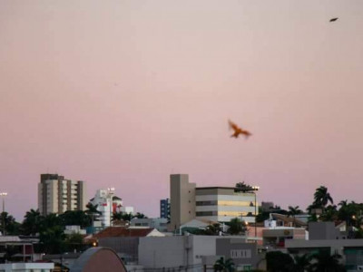  Céu claro e tempo estável predominam nesta quinta-feira 