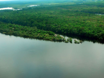 Caixa vai repassar R$ 150 milhões para preservação de florestas