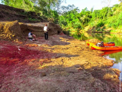  Estudo confirma presença de dinossauros em Mato Grosso do Sul 