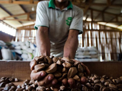 Fiocruz e Mapa mapeiam produção de plantas medicinais no Brasil