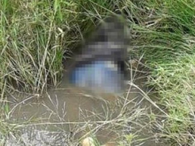  Homem com as calças abaixadas é encontrado morto em córrego nas Moreninhas 