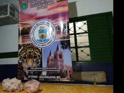 Homem é preso e multado em R$ 2 mil por abater jacaré