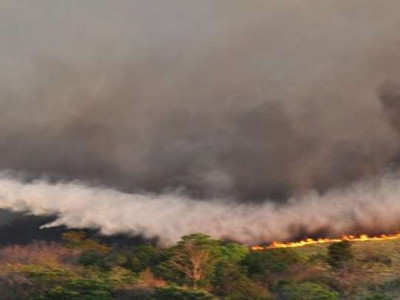  MS declara estado de emergência ambiental por seis meses 