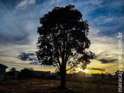 Terça de tempo firme, mas temperaturas amenas em MS