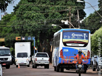 Lei que permite levar animais no transporte coletivo urbano é sancionada