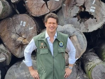 Cármen atende PF e suspende processos sobre extração de ilegal de madeira