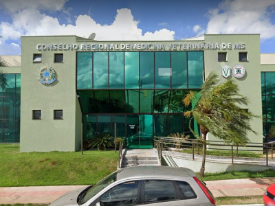 Conselho de Veterinária e Zootecnia convoca para eleições em MS