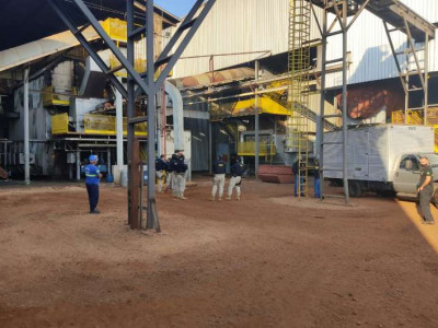 Mais de quatro toneladas de droga são incineradas em Dourados