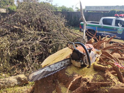 Polícia autua morador em R$ 1 mil por posse de motosserra ilegal