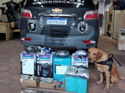 Polícia encontra fuzil enviado pelos Correios em Campo Grande