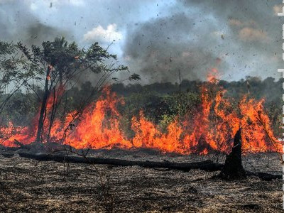 Bombeiros de Sidrolândia flagram queimada ilegal em Nioaque 