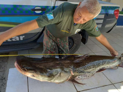 Dono de rancho é preso com pescado ilegal