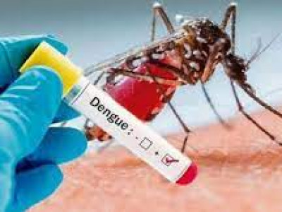 Estado confirma 33 diagnósticos de dengue na semana