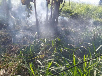 Idoso é autuado por incêndio em terreno baldio