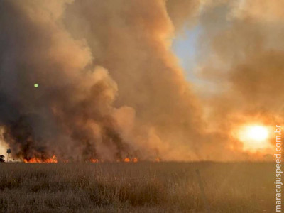 Incêndio de grandes proporções atinge propriedade rural 