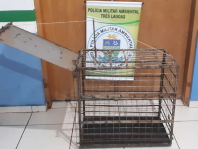 PMA apreende armadilha de caça no Parque Natural das Capivaras