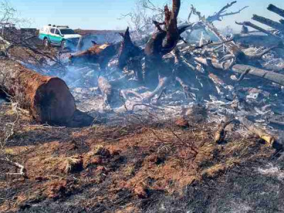 PMA flagra incêndio em galhos e troncos em andamento e autor é multado em R$ 27 mil