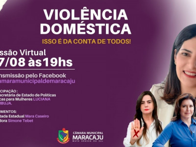 CÂMARA REALIZA SESSÃO VIRTUAL ALUSIVA A CAMPANHA AGOSTO LILÁS