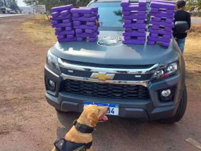 Cão farejador encontra 50 kg de maconha escondida em ônibus 