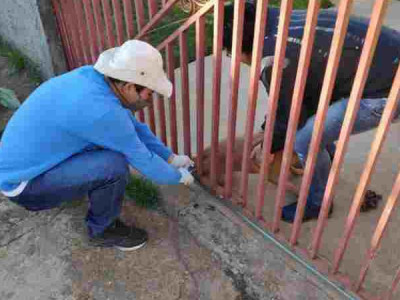 CCZ intensifica campanha de vacinação antirrábica em Dourados