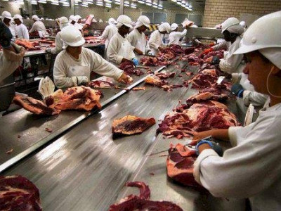 Com falta de gado em MT, frigoríficos podem fechar, diz sindicato 