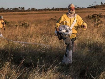 Governo Federal reforça prevenção a incêndios no Pantanal