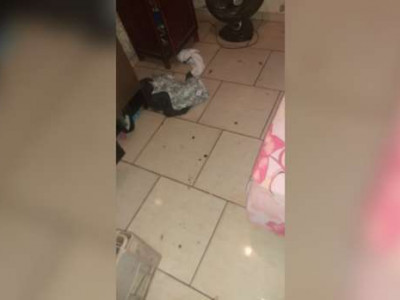 Mulher é ameaçada com um facão e agredida pelo marido 