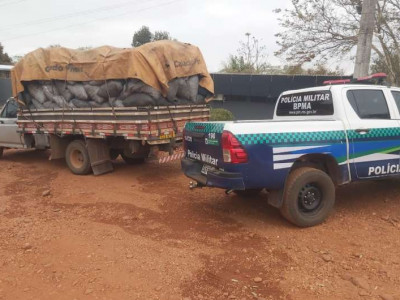 Polícia apreende caminhão com 16 m³ de carvão ilegal 