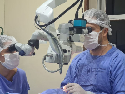 Taxa de doadores de órgãos cai 13% no primeiro semestre