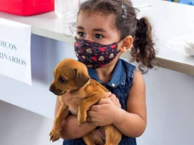 4ª edição da feira de doação de gatos e cães será realizada na Cidade Morena