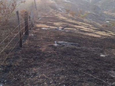 Assentado é autuado em R$ 60 mil por incêndio no Pantanal