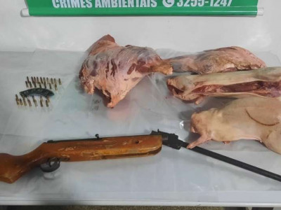 Caçador é preso e multado com arma, munições e animais abatidos