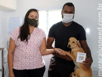 Em Sidrolândia, Castramóvel já operou mais de 50 animais 