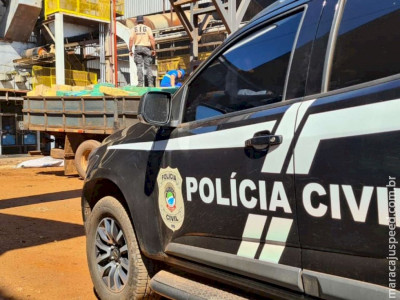 Mais de 24 toneladas de drogas são incineradas em Dourados