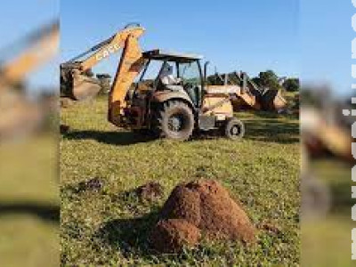 Operador de máquinas morre ao ser atacado por enxame de abelhas