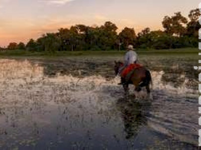 Peão morre após acidente com égua em fazenda