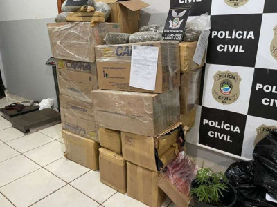 Polícia apreende quase 500 kg de maconha em veículo e imóvel