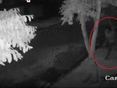 ‘Saci do crime’ aterroriza bairros de Três Lagoas