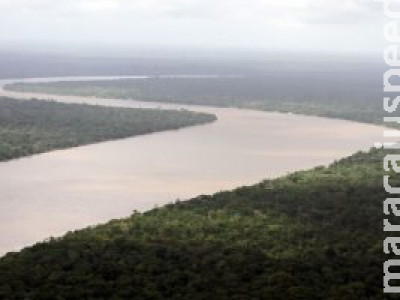 Sem Fundo Amazônia, Pará cria iniciativa estadual para tentar captar verbas