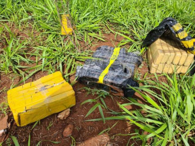 Após denúncias, Guarda localiza maconha na Via Parque