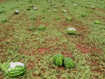 Após “vendaval, chuva e pedra”, Eldorado vai decretar emergência