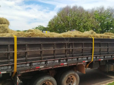 Carga de feno recheada com maconha é apreendida na fronteira